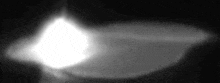 a black and white photo of a leaf with a light coming out of it in the dark .