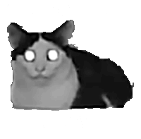Kys Kill Yourself Sticker - Kys Kill Yourself Cat Stickers