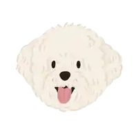 a cartoon drawing of a white poodle with its tongue out