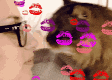 Helloleesh Kiss GIF - Helloleesh Kiss Catkiss GIFs