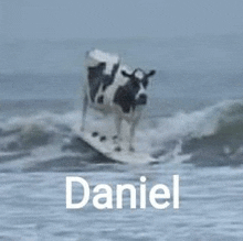 Daniel GIF - Daniel GIFs