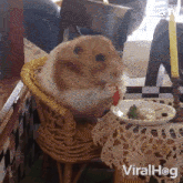 Having A Fancy Meal Viralhog GIF - Having A Fancy Meal Viralhog Eating Dinner GIFs