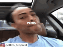 Perra Perrisima GIF - Perra Perrisima Corona GIFs