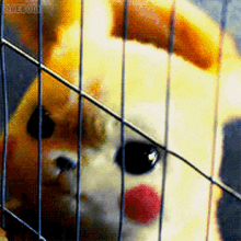 Detective Pikachu Pikachu GIF - Detective Pikachu Pikachu Get Me Out Of Here GIFs