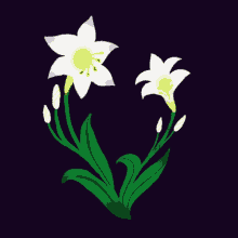 Lily Lilies GIF - Lily Lilies Fragrant Flowers GIFs