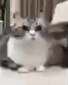 a cat is sitting on a sewing machine in a room .
