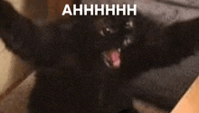 a close up of a black cat with its mouth open and the words ahhhh written above it