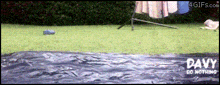 a 4gifs.com ad shows a person jumping into a pool of water