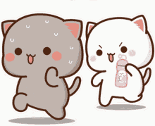 GIF