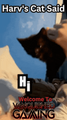 Vanquished Cat GIF - Vanquished Cat Hi GIFs
