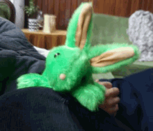 Piche Rabbit GIF - Piche Rabbit Head Bang GIFs