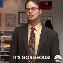 Its Gorgeous Dwight Schrute GIF - Its Gorgeous Dwight Schrute Rainn Wilson GIFs