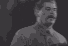 Stalin Joseph Stalin GIF