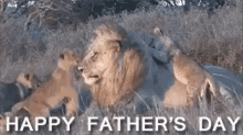 Happy Father'S Day GIF - Happy Fathers Day Lion Playing GIFs