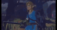 Zelda Age Of Calamity GIF - Zelda Age Of Calamity GIFs