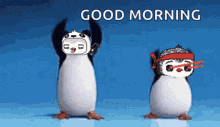 Bastardpenguin GIF - Bastardpenguin Penguin GIFs