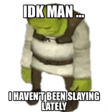 shrek is standing on a white background and says `` idk man ... i haven t been slaying lately ''