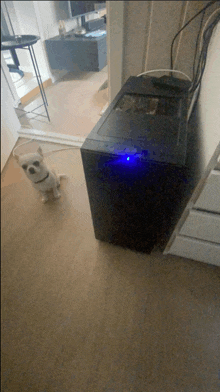 a small dog is standing next to a computer case