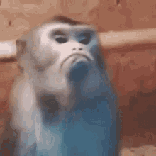 Monkey Frown GIF - Monkey Frown Sad GIFs