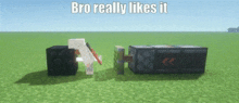 a screenshot of a minecraft game with the words " bro really likes it "