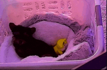 Goodnight Ready GIF - Goodnight Ready Ready For Bed GIFs