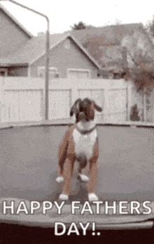 a dog is jumping on a trampoline and says happy father 's day