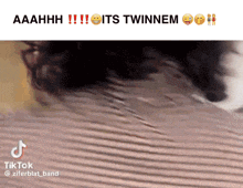 a screenshot of a tiktok video that says " aahhh !!! its twinnem "