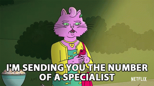 Princess Carolyn from BoJack Horseman saying "I'm sending you the number of a specialist"