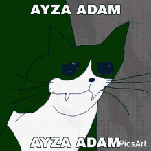 Ayzaadam Crying Cat GIF - Ayzaadam Crying Cat GIFs