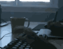 GIF