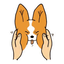 Corgi Puppy GIF - Corgi Puppy Dog GIFs