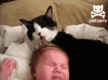 Cat Gives Baby A Tongue Bath GIF - Cat Lick Head GIFs