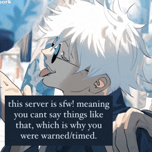 a drawing of a person with a caption that says this server is sfw