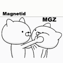 Slap Magnetid Vs Mgz GIF