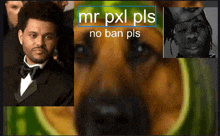 a picture of a man and a dog with the words mr pxl pls no ban pls on the bottom