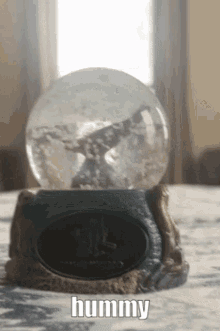 Hummy Seal GIF - Hummy Seal Snow Globe GIFs