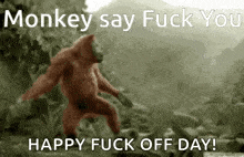 Monkey Say Fuck You GIF