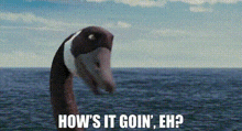 The Wild Movie Canadian Goose GIF - The Wild Movie Canadian Goose Hows It Goin Eg GIFs