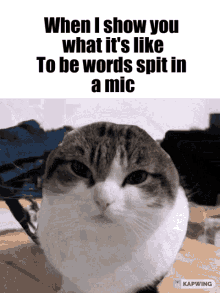 Oh The Misery Oh The Misery Cat GIF - Oh The Misery Oh The Misery Cat Oh The Misery Everybody Wants To Be My Enemy GIFs