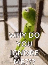 kermit the frog is leaning against a railing and saying `` why do you ignore me ? ''