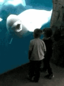 a couple of people looking at a polar bear in an aquarium