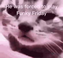 funky friday he was forced to play funky friday