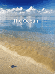 Ocean GIF - Ocean GIFs