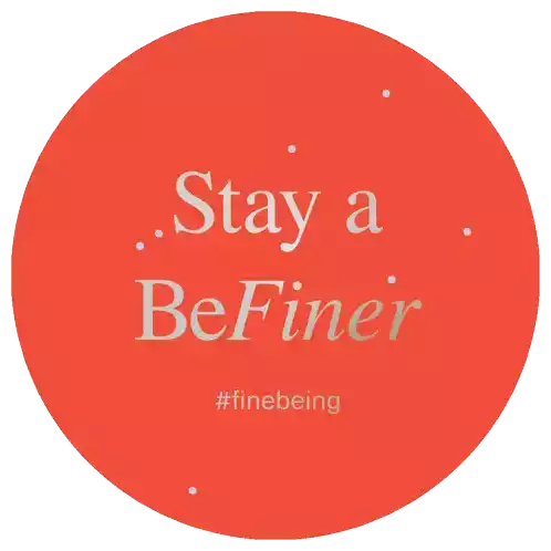 Finebeing Befiner Sticker - Finebeing Befiner Stickers