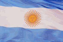 Dia De La Bandera Argentina GIF