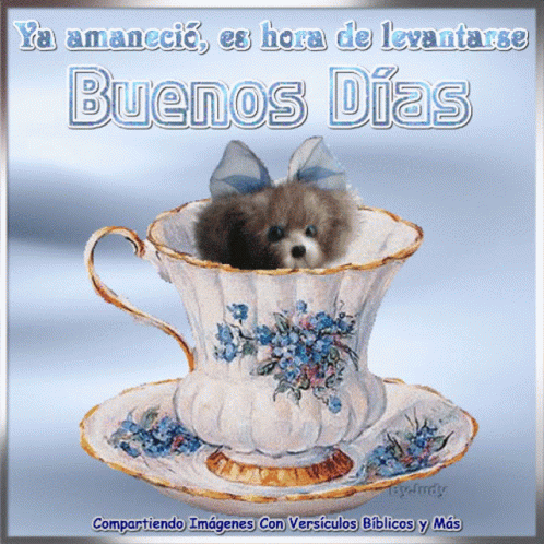Buenos Dias Hola GIF - Buenos Dias Hola Cup - Discover & Share GIFs