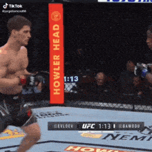 a fighter in a cage with a howler head sign