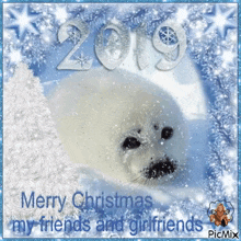 Merry Christmas Seal GIF - Merry Christmas Seal Merry Christmas Seal GIFs