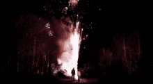 two people standing in front of a large fireworks display