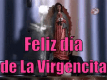 Rosa De La Virgen De Guadalupe GIF - Feliz Dia De La Virgen De Guadalupe Virgen Flor GIFs